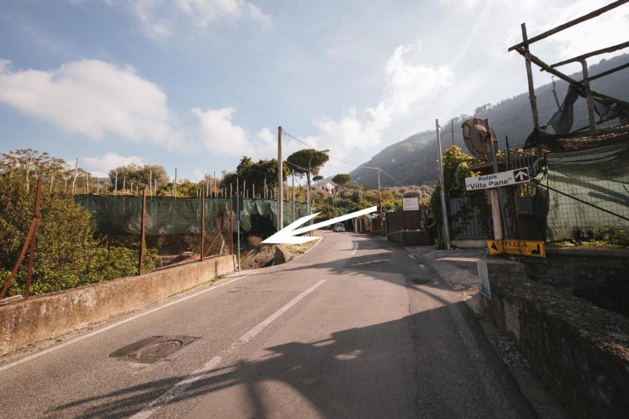 Casta Diva Apartment Sorrento Bagian luar foto